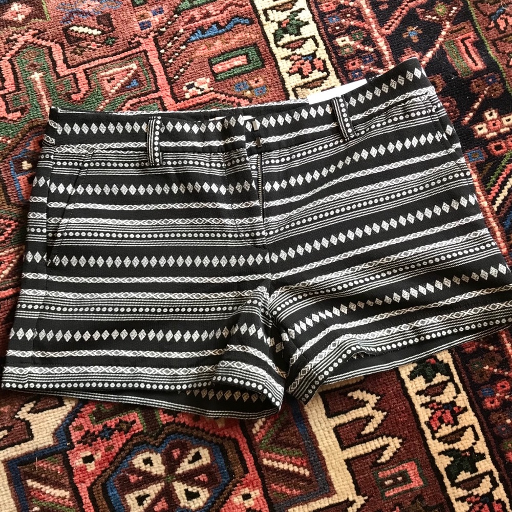 Loft 4” Short NWT